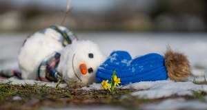 Zrobi się wiosennie, na termometrach nawet 15 stopni. Najnowsza prognoza IMGW