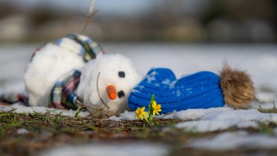 Zrobi się wiosennie, na termometrach nawet 15 stopni. Najnowsza prognoza IMGW