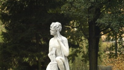 Zrobili żabę na szaro