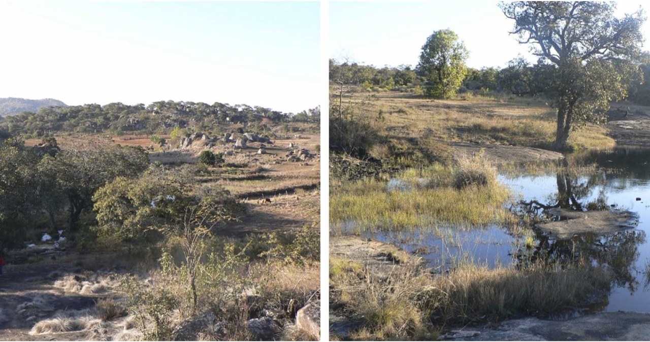 Źródła: obszar Boroma (po lewej) i obszar Mungwini (po prawej). /I. Pikirayi i in./CC BY 4.0 /materiał zewnętrzny