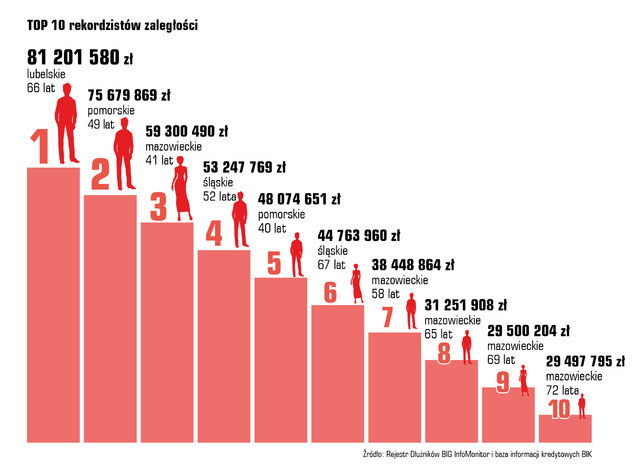 Źródło: BIG Info Monitor /