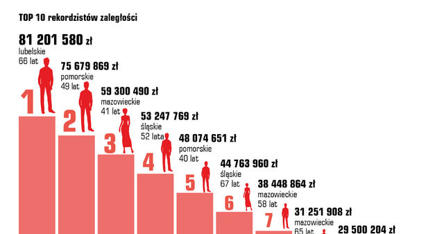 Źródło: BIG Info Monitor /