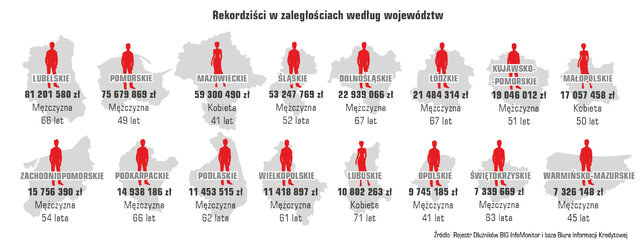 Źródło: BIG Info Monitor /