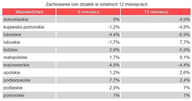 Źródło: domiporta.pl /Informacja prasowa