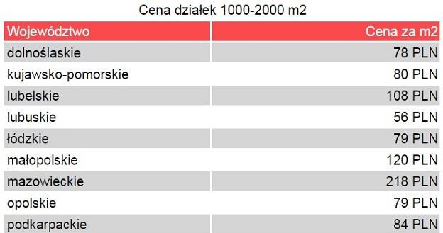 Źródło: domiporta.pl /Informacja prasowa