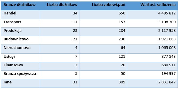 Źródło: Krajowy Rejestr Długów Biuro Informacji Gospodarczej /