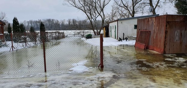 Źródło: portalplock.pl/ /Michał Wiśniewski /