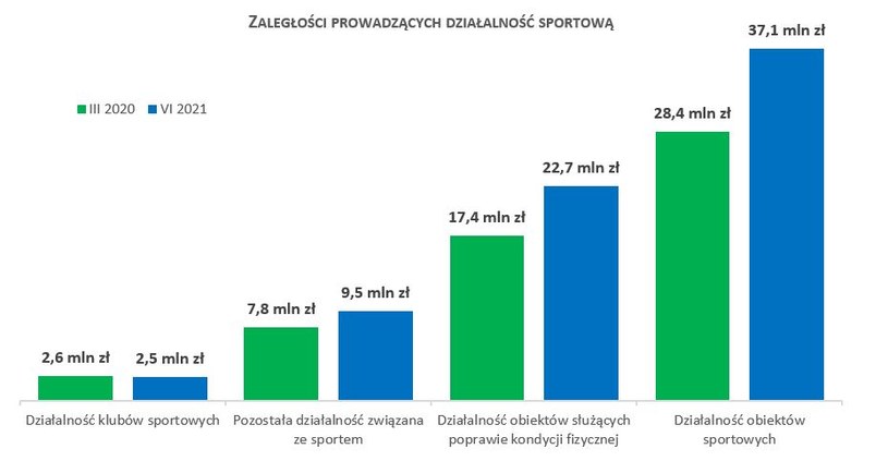 Źródło: Rejestr Dłużników BIG InfoMonitor i baza BIK /Informacja prasowa