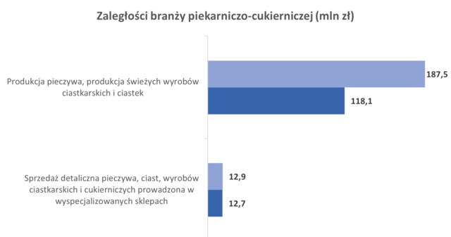 Źródło: Rejestr Dłużników BIG InfoMonitor i baza informacji kredytowych BIK /