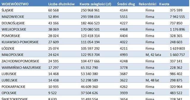 Źródło: Rejestr Dłużników BIG InfoMonitor /