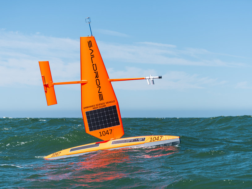 źródło: Saildrone /materiały prasowe