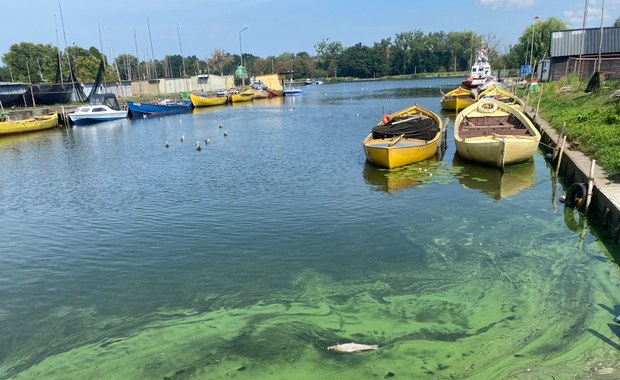 Zrzut ścieków do Odry. Skala większa, niż myślano