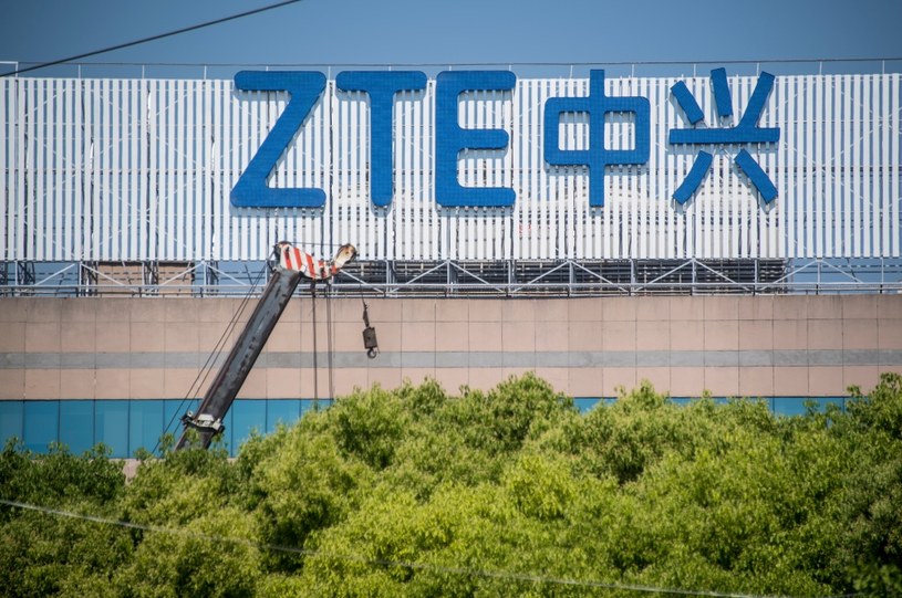 ZTE przygotowuje niespodziankę na berlińskie targi IFA /AFP