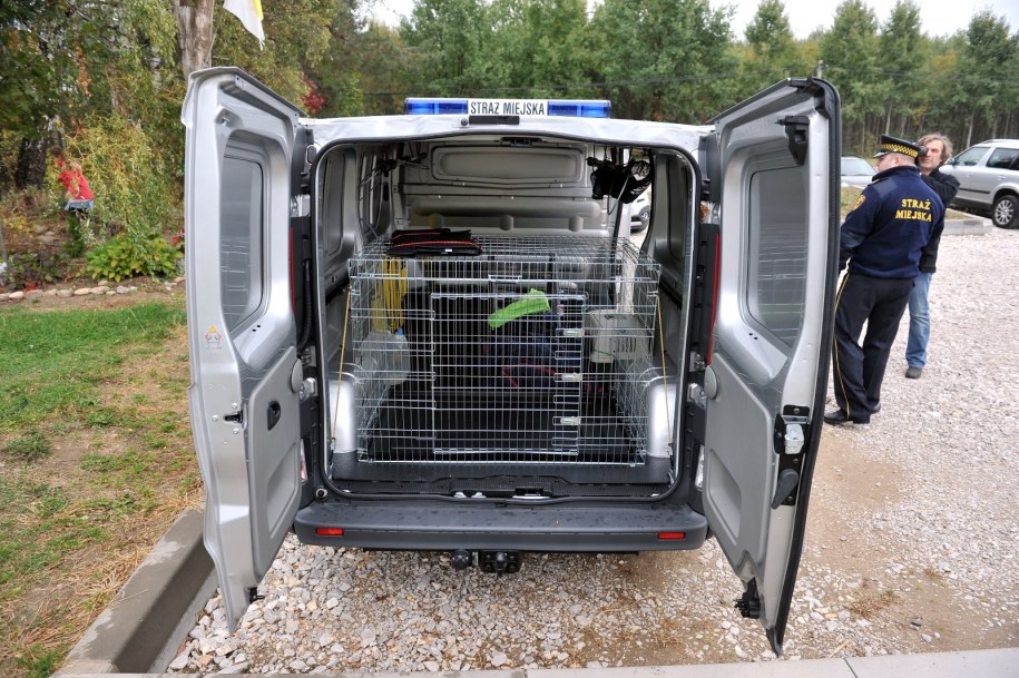 Ztraż Miejska otrzymała "zwierzakobus" /Agnieszka Wyderka /RMF FM