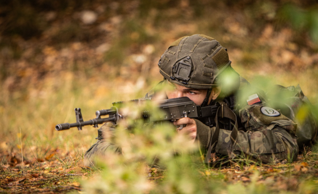 Żubr i Abadon. Duże, wojskowe ćwiczenia w Polsce 