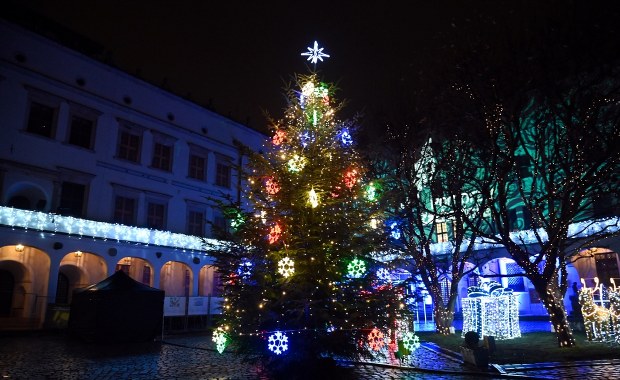 Zuchwała kradzież w Szczecinie. Złodziej zabrał ozdoby z choinki
