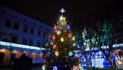 Zuchwała kradzież w Szczecinie. Złodziej zabrał ozdoby z choinki