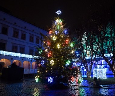 Zuchwała kradzież w Szczecinie. Złodziej zabrał ozdoby z choinki