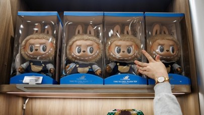 Zuchwała kradzież zabawek za 25 tys. zł. Labubu w rękach złodziei