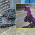 Zuchwały dinozaur w akcji! Wyrzucił śmieci, zatańczył z latarnią i uciekł w mrok