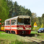 Żuławska Kolej Wąskotorowa może stać się regularnym środkiem transportu dla mieszkańców