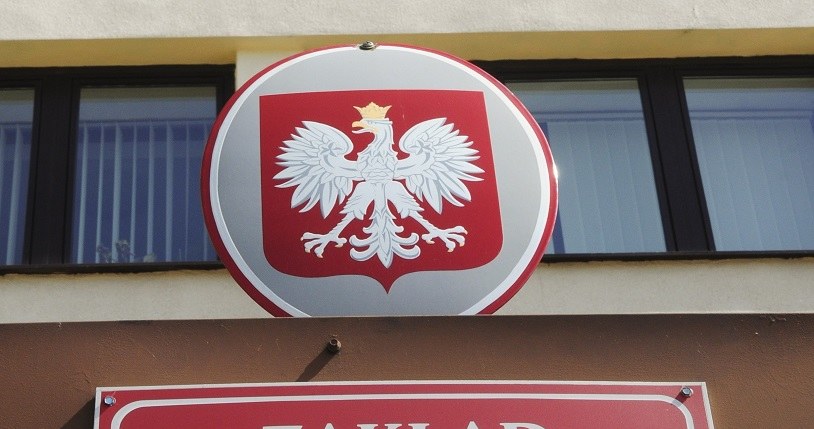 ZUS-owi grozi zapaść? Polski Ład zaczyna paraliżować urzędy... /Włodzimierz Wasyluk /Getty Images