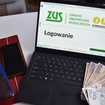 Pracownicze Plany Kapitałowe