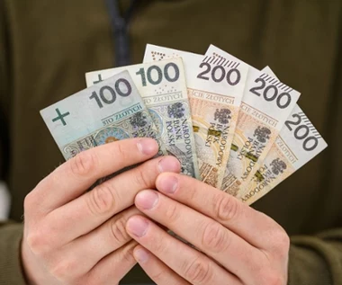 ZUS próbuje odzyskać 800 plus. Ściąga ułamek świadczeń od cudzoziemców