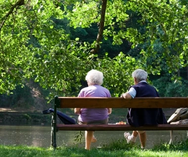ZUS wypłaca seniorom po 6600 zł. Nie wymagają ani dnia pracy