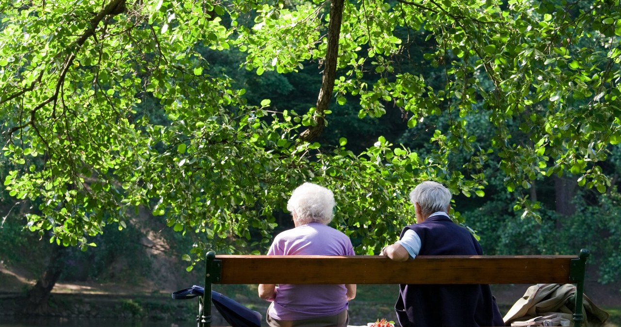 ZUS wypłaca seniorom po 6600 zł. Nie wymagają ani dnia pracy /123RF/PICSEL