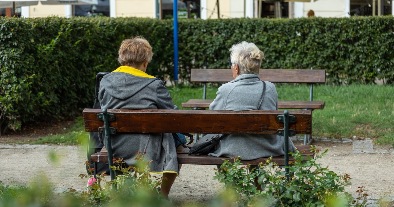 ZUS wysyła 6600 zł miesięcznie. Potrzebne jedynie polskie obywatelstwo. Na zdjęciu dwójka seniorów siedząca na ławeczce w parku tyłem do kamery. /ARKADIUSZ ZIOLEK /East News