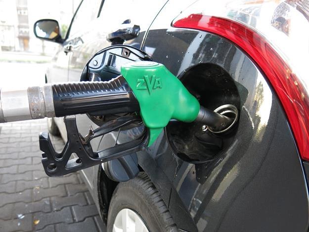 Zużycie paliwa w dużej mierze zależy od kierowcy / Fot: Adrian Slazok /Reporter