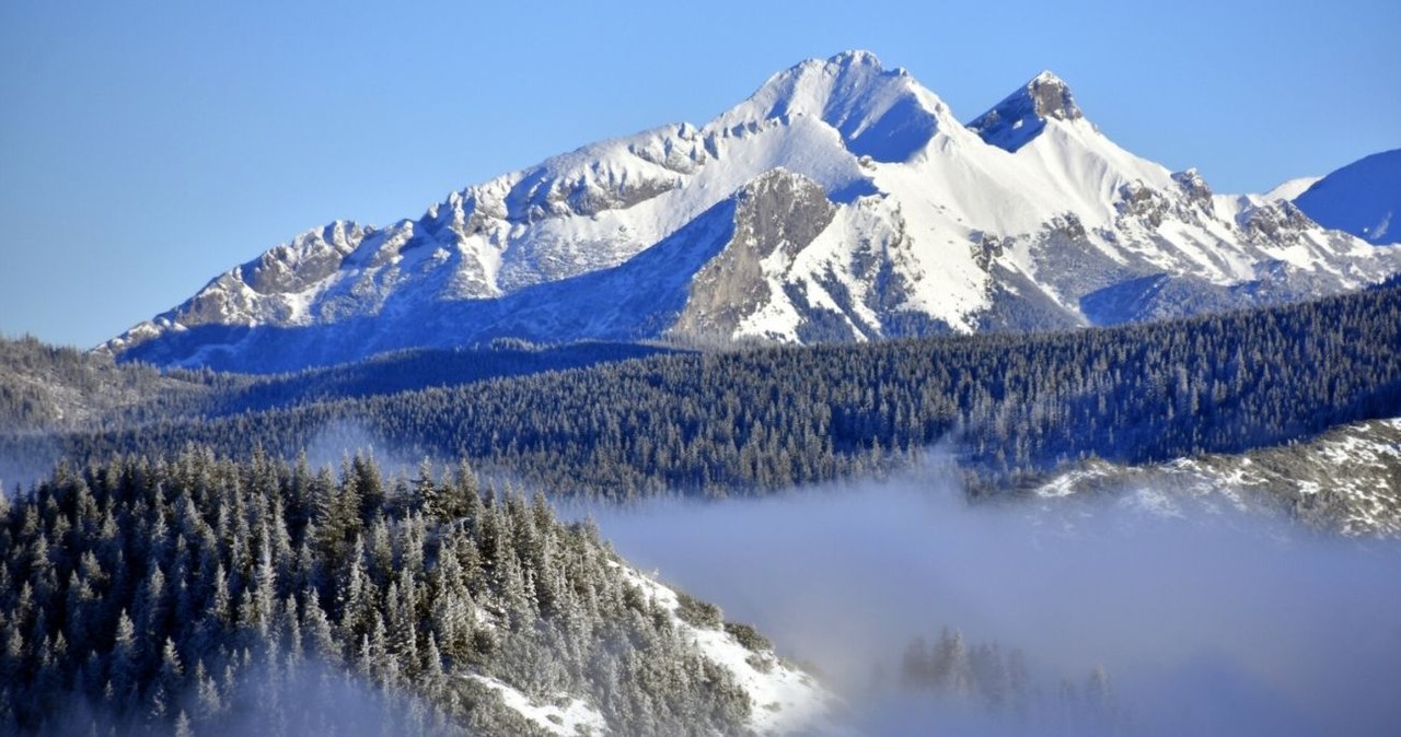 Zvernica to nowa trasa edukacyjna w Tatrach, którą przebędziesz w bryczce konnej /Albin Marciniak /East News