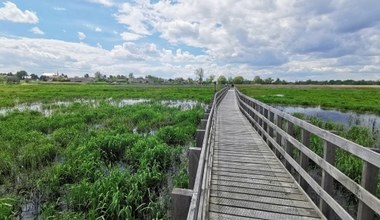 Zwą ją Perłą Podlasia nie bez powodu. Unikatowa kładka przyciąga turystów jak magnes  