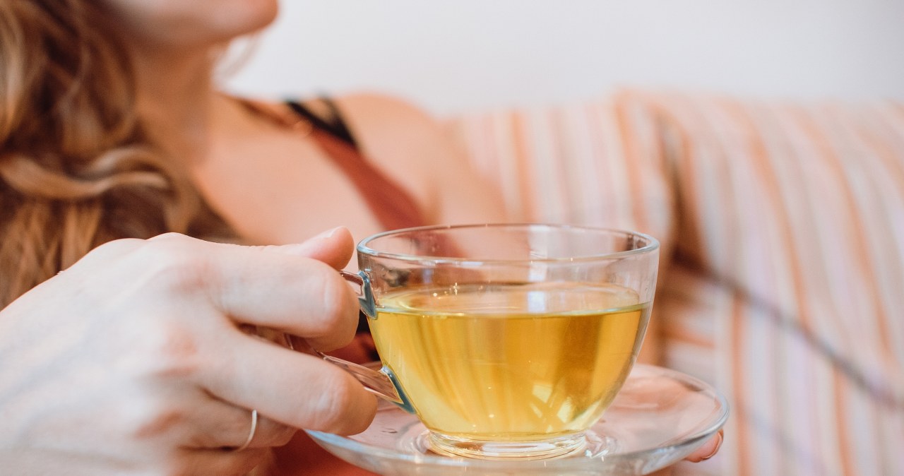 Zwalcza wolne rodniki, pomaga przy insulinooporności. Podagrycznik ma moc właściwości zdrowotnych /123RF/PICSEL