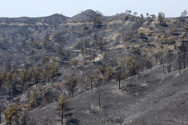 Zwęglone lasy i domy - tak wygląda teraz krajobraz Cypru /KATIA CHRISTODOULOU  /PAP/EPA