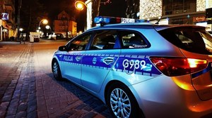 Zwęglone zwłoki w spalonym samochodzie. Akcja w Krzeszycach