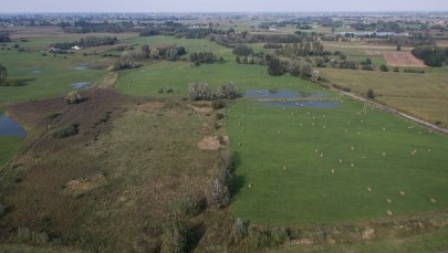 Związek Gmin Polskich zgadza się z mieszkańcami Baranowa: Nie dla budowy megalotniska