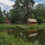 Zwiedzanie Puszczy Kozienickiej. Fauna, flora i historia polskich królów