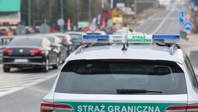 Zwiększone kontrole graniczne w związku z pryszczycą. Jaka sytuacja jest w Niemczech?