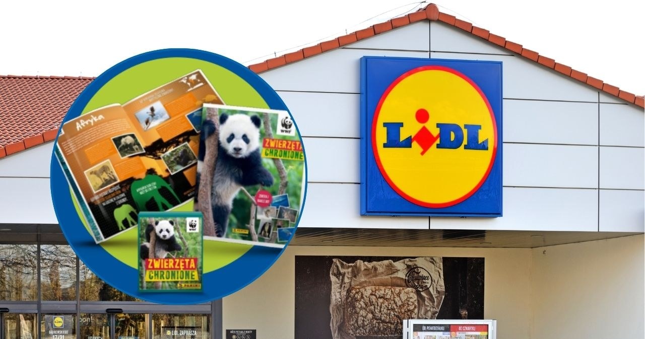 „Zwierzęta chronione” tylko w sklepach sieci Lidl /Lidl - materiały prasowe /INTERIA.PL