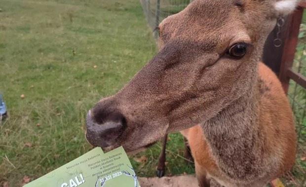 Zwierzęta do likwidacji? Uczennice walczą o stację badawczą PAN w Kosewie