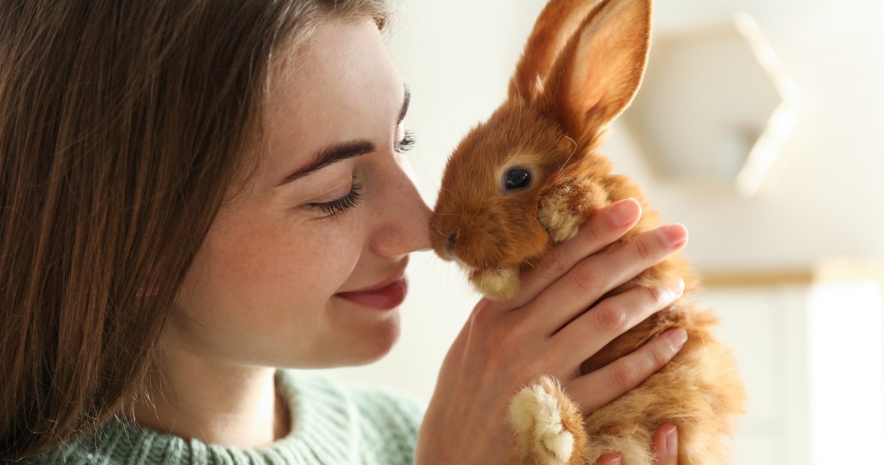 Zwierzęta domowe redukują poziom stresu, poprawiają nastrój i obniżają ciśnienie tętnicze krwi /123RF/PICSEL