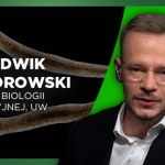 Zwierzęta o dwóch głowach. Polacy odkryli coś zupełnie zaskakującego