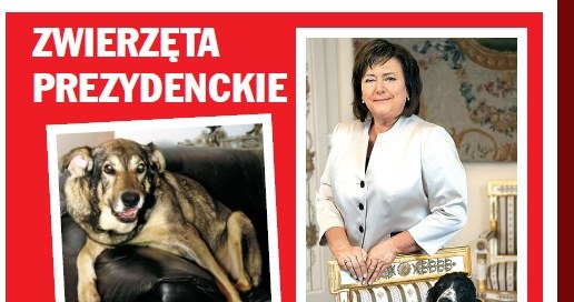 Zwierzęta prezydenckie /Rewia