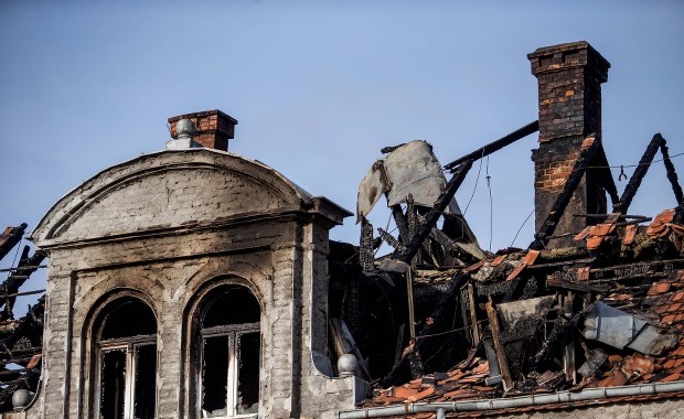 Zwierzęta uratowane z drogi na rzeź czekają na pomoc