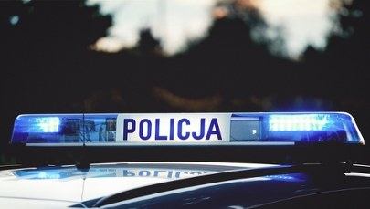 Zwierzęta w ciężkim stanie znalezione w Parku Rozrywki Pepeland