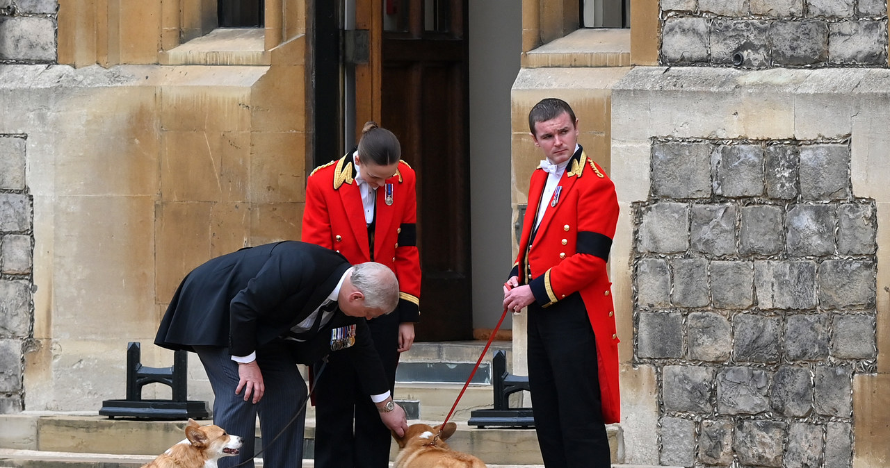 Zwierzęta żegnają królową. Książę Andrzej głaszcze corgi /Justin Setterfield / Staff /Getty Images