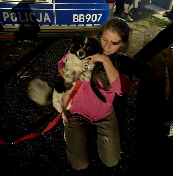 Zwierzętom pomogli wolontariusze z TOZ w Jaworze /Policja Dolny Śląsk /Policja