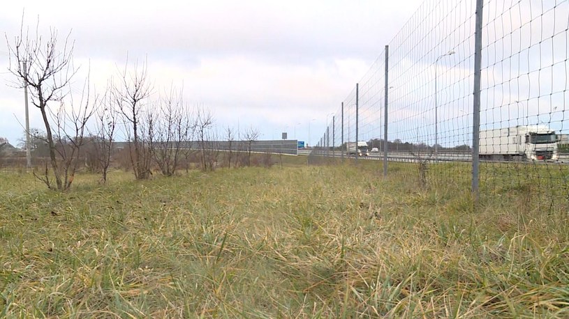 Zwłoki dwóch młodych mężczyzn znaleziono w pobliżu drogi technicznej niedaleko autostrady A1 w Świętoszowicach (woj. śląskie) /Polsat News /Polsat News
